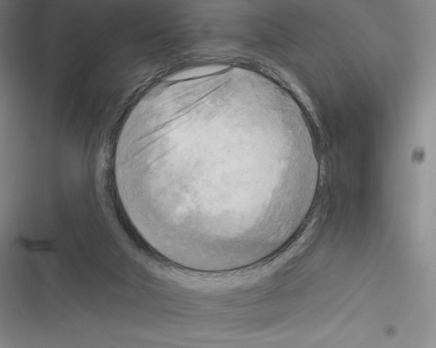 X0000116300018201001111127