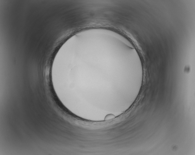 X0000116300019201001111127