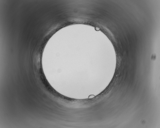 X0000116300020201001111127