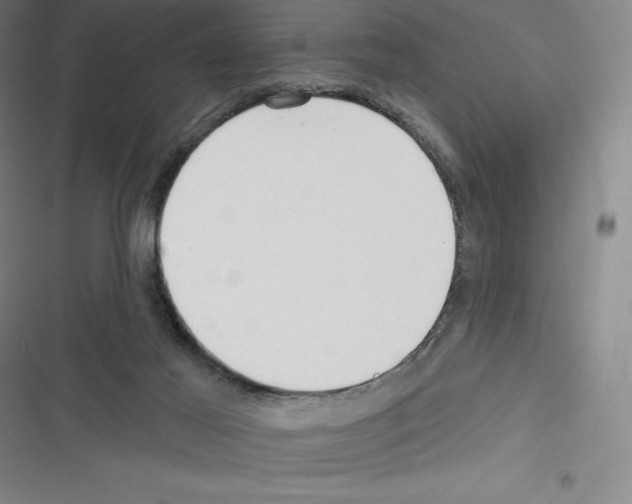 X0000116300021201001111127