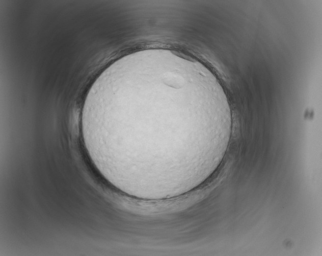 X0000116300022201001111127