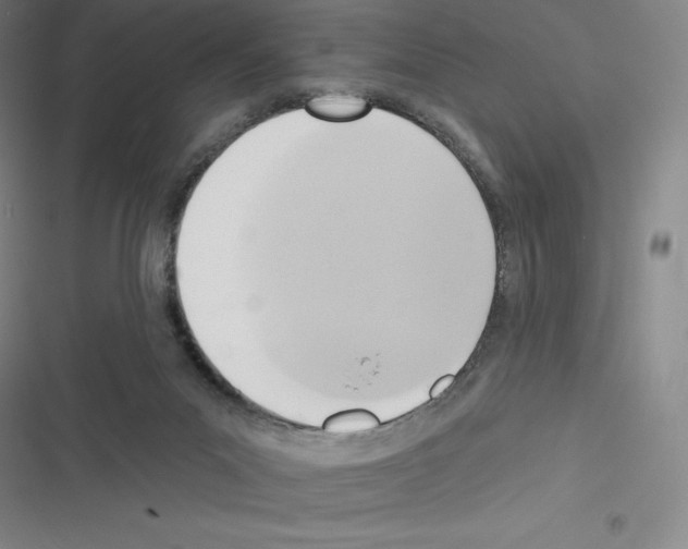 X0000116300023201001111127