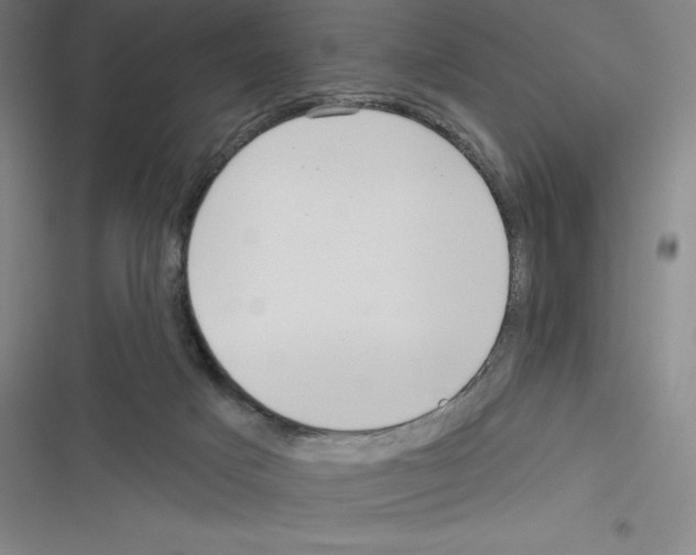 X0000116300025201001111127