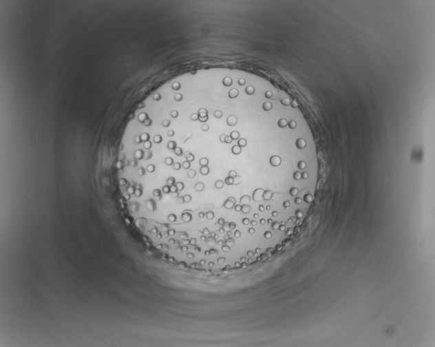 X0000116300026201001111127