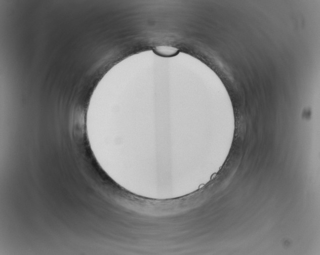 X0000116300027201001111127