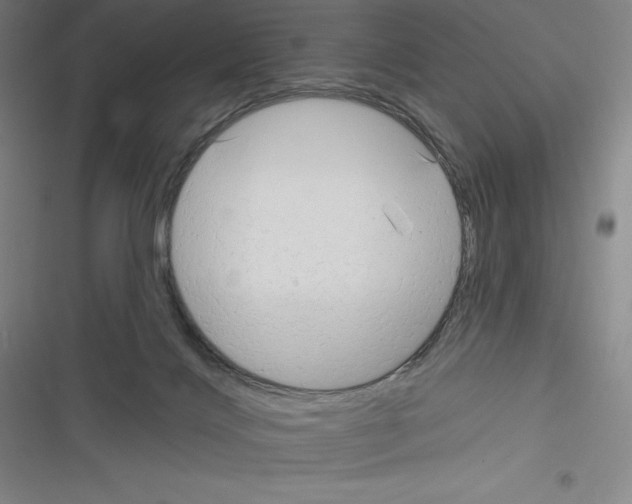 X0000116300028201001111127