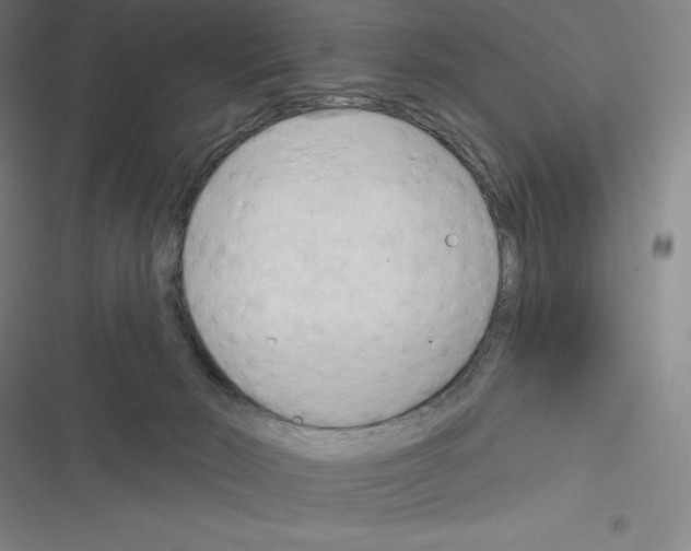 X0000116300030201001111127