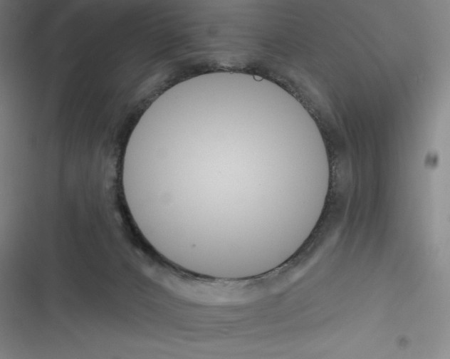 X0000116300032201001111127