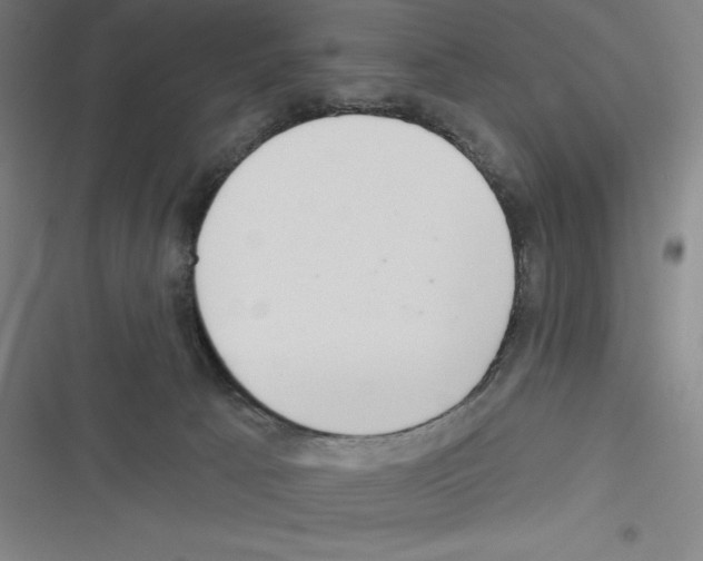 X0000116300033201001111127