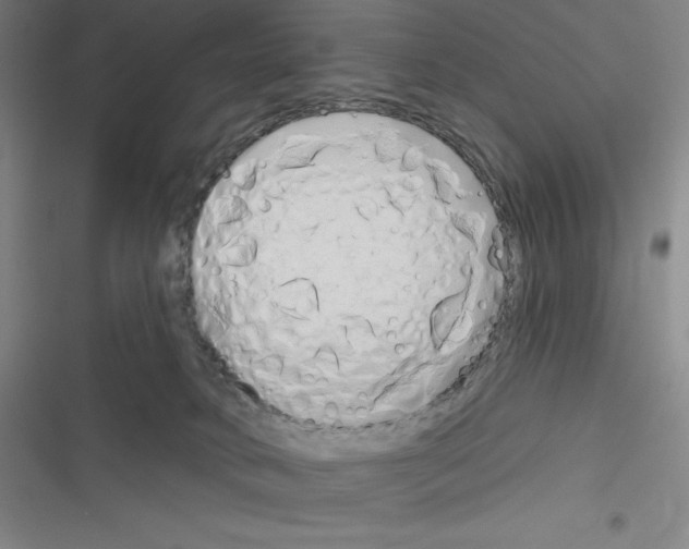 X0000116300034201001111127