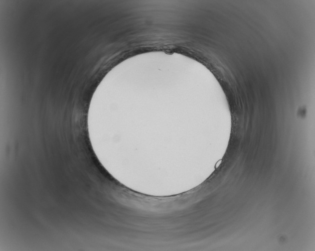 X0000116300035201001111127