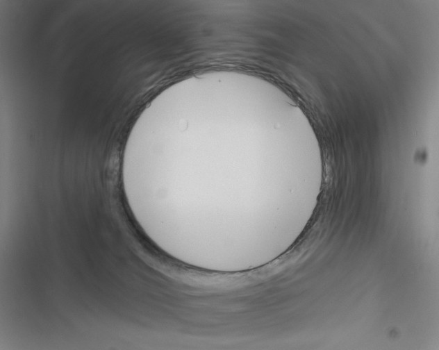 X0000116300036201001111127