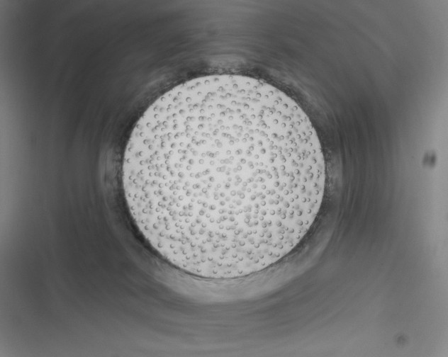 X0000116300038201001111126