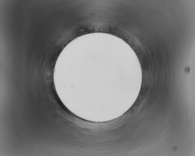 X0000116300039201001111126