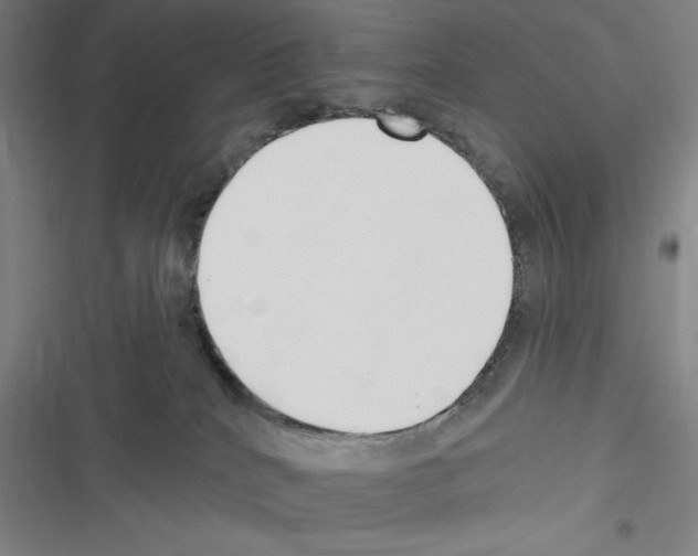 X0000116300040201001111126