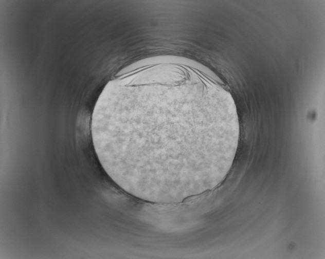 X0000116300041201001111126