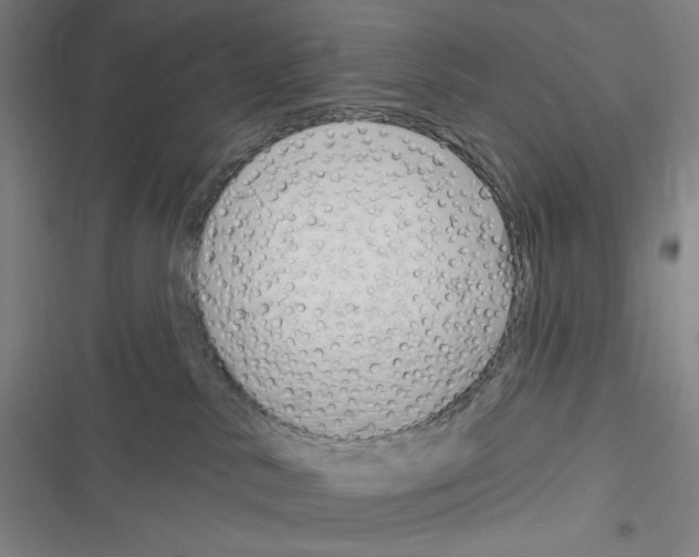 X0000116300042201001111126