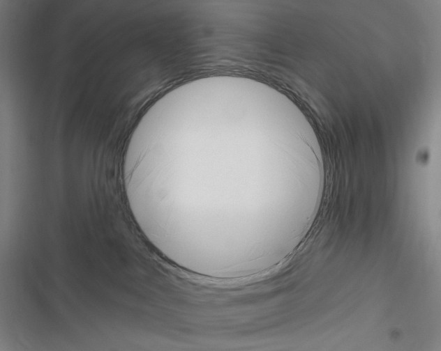 X0000116300043201001111126