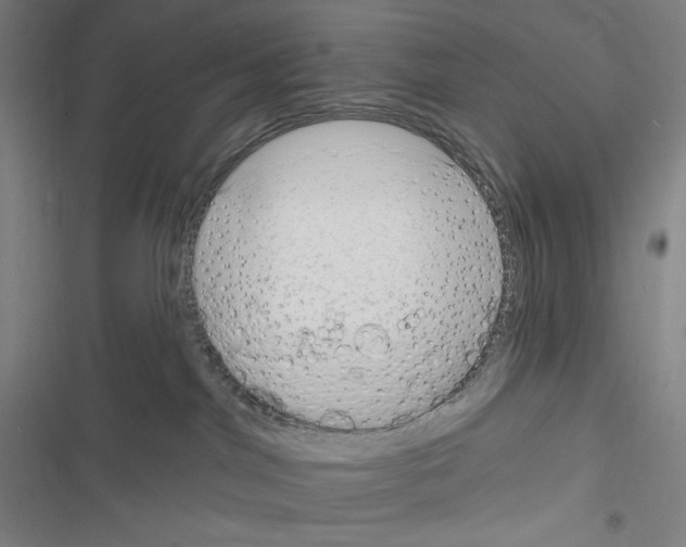 X0000116300044201001111126