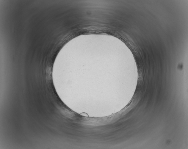 X0000116300045201001111126