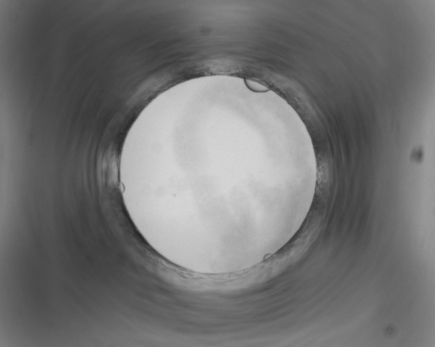 X0000116300046201001111126