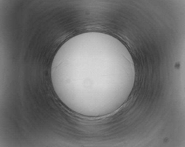 X0000116300047201001111126