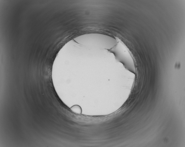 X0000116300048201001111126