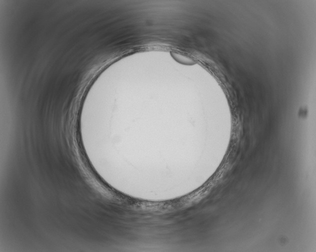 X0000116300049201001111126