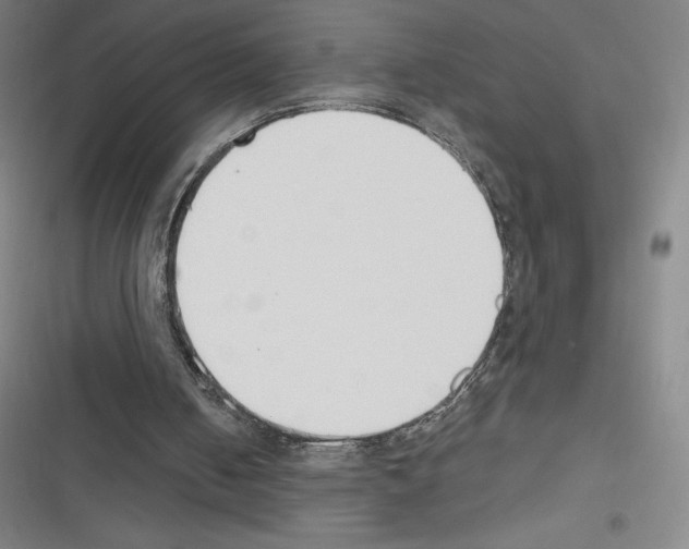 X0000116300050201001111126