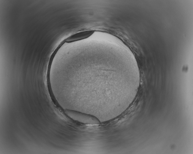 X0000116300052201001111126