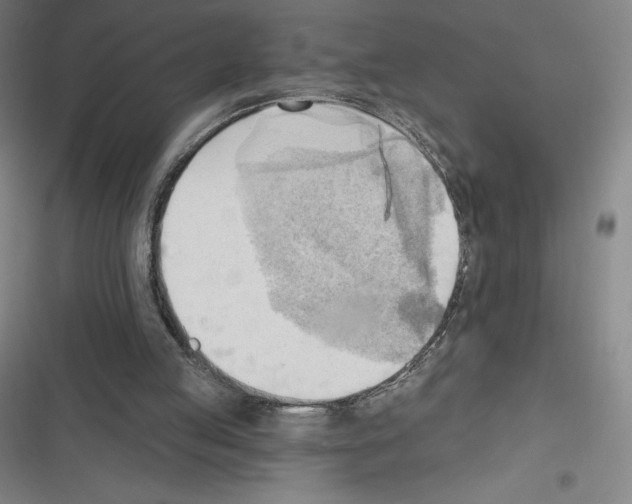 X0000116300053201001111126