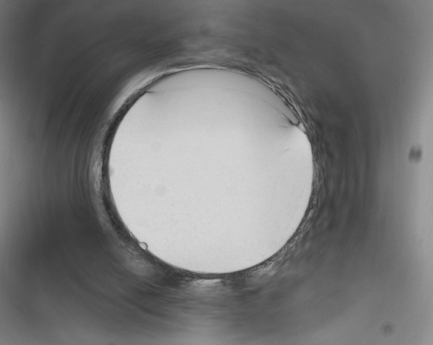 X0000116300054201001111126