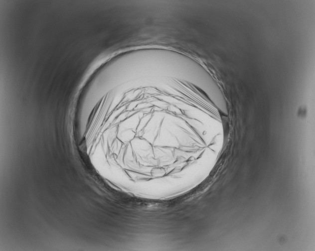 X0000116300056201001111126