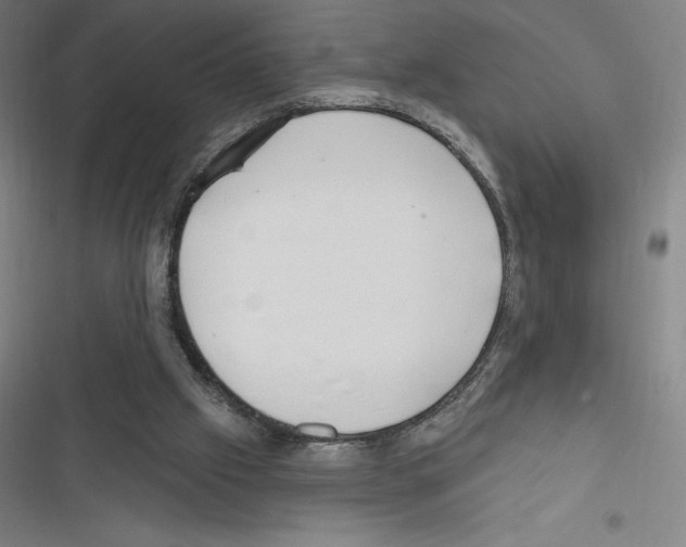 X0000116300057201001111126