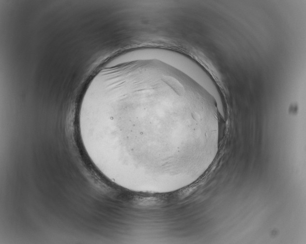 X0000116300058201001111126