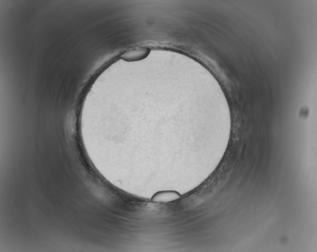 X0000116300060201001111126