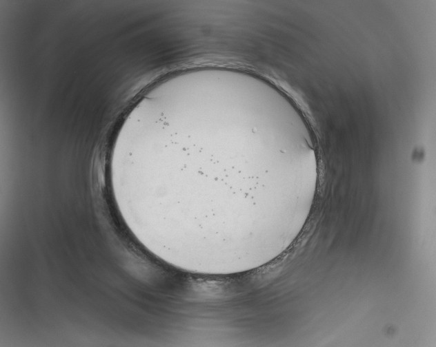 X0000116300062201001111126