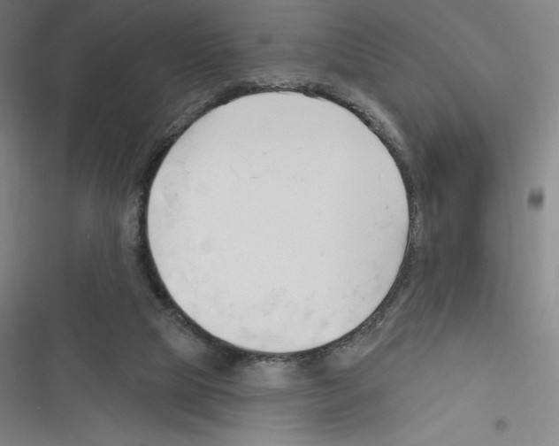 X0000116300065201001111126