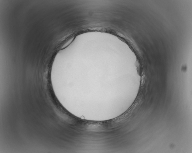 X0000116300066201001111126