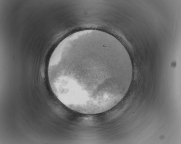 X0000116300068201001111126