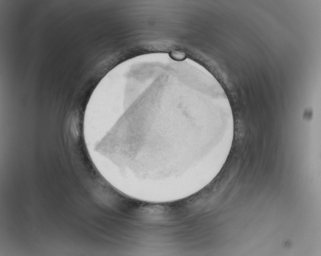 X0000116300069201001111126