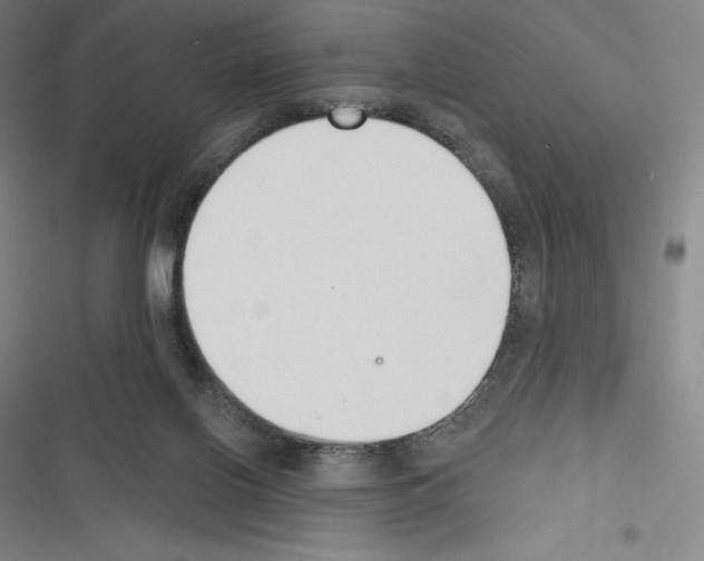 X0000116300070201001111126