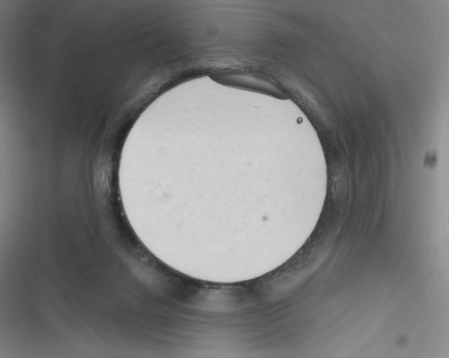 X0000116300072201001111126