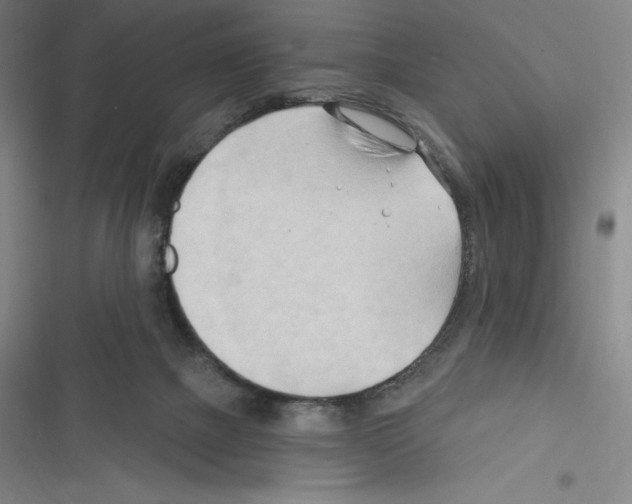 X0000116300073201001111126