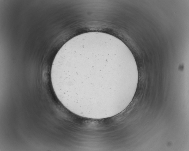 X0000116300074201001111126