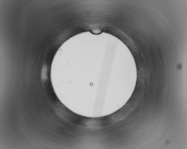 X0000116300075201001111126