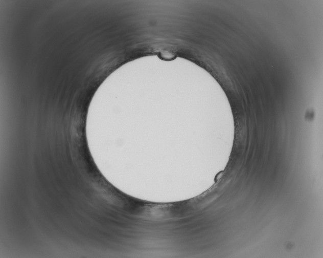 X0000116300078201001111126