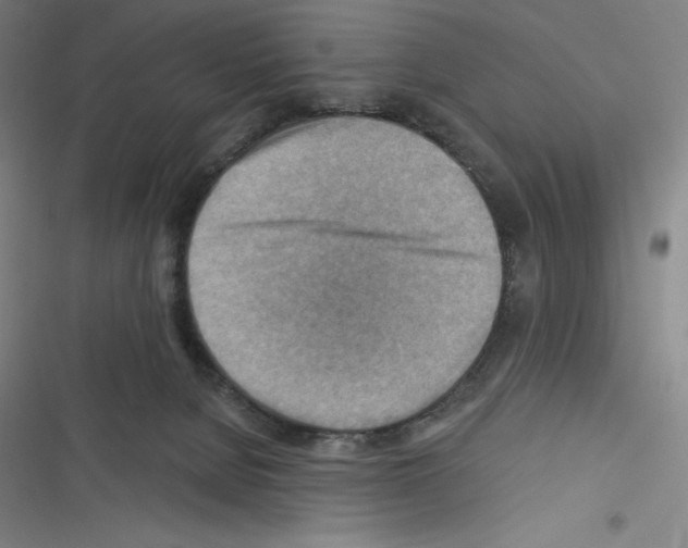 X0000116300080201001111126