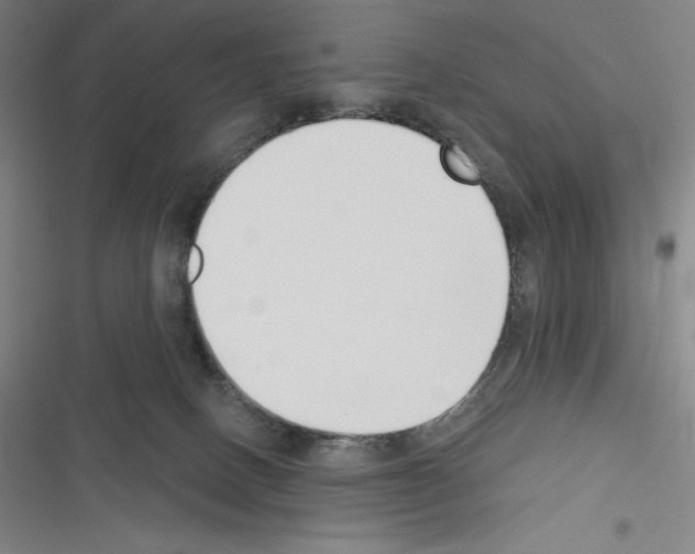 X0000116300082201001111126