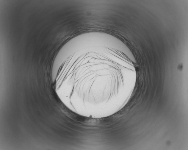 X0000116300084201001111126